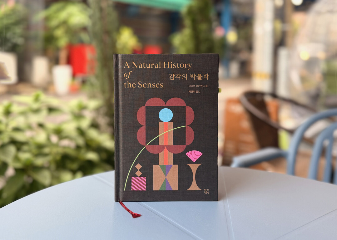 [홍대스트리트북스] 감각, 세상을 이...