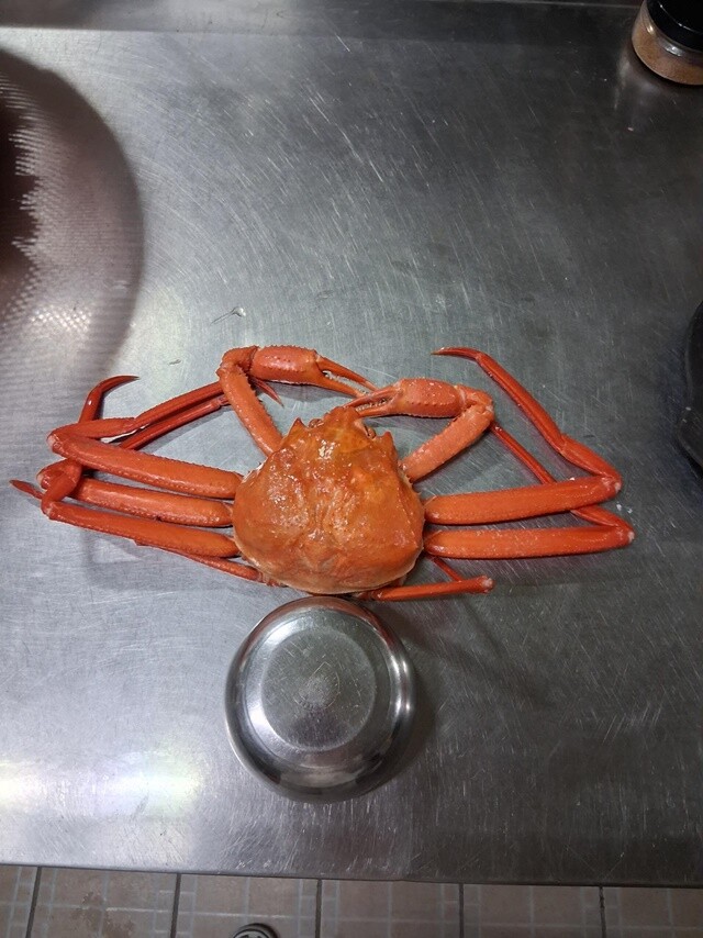 “속초분들 정신 차리세요”…홍게 4마...